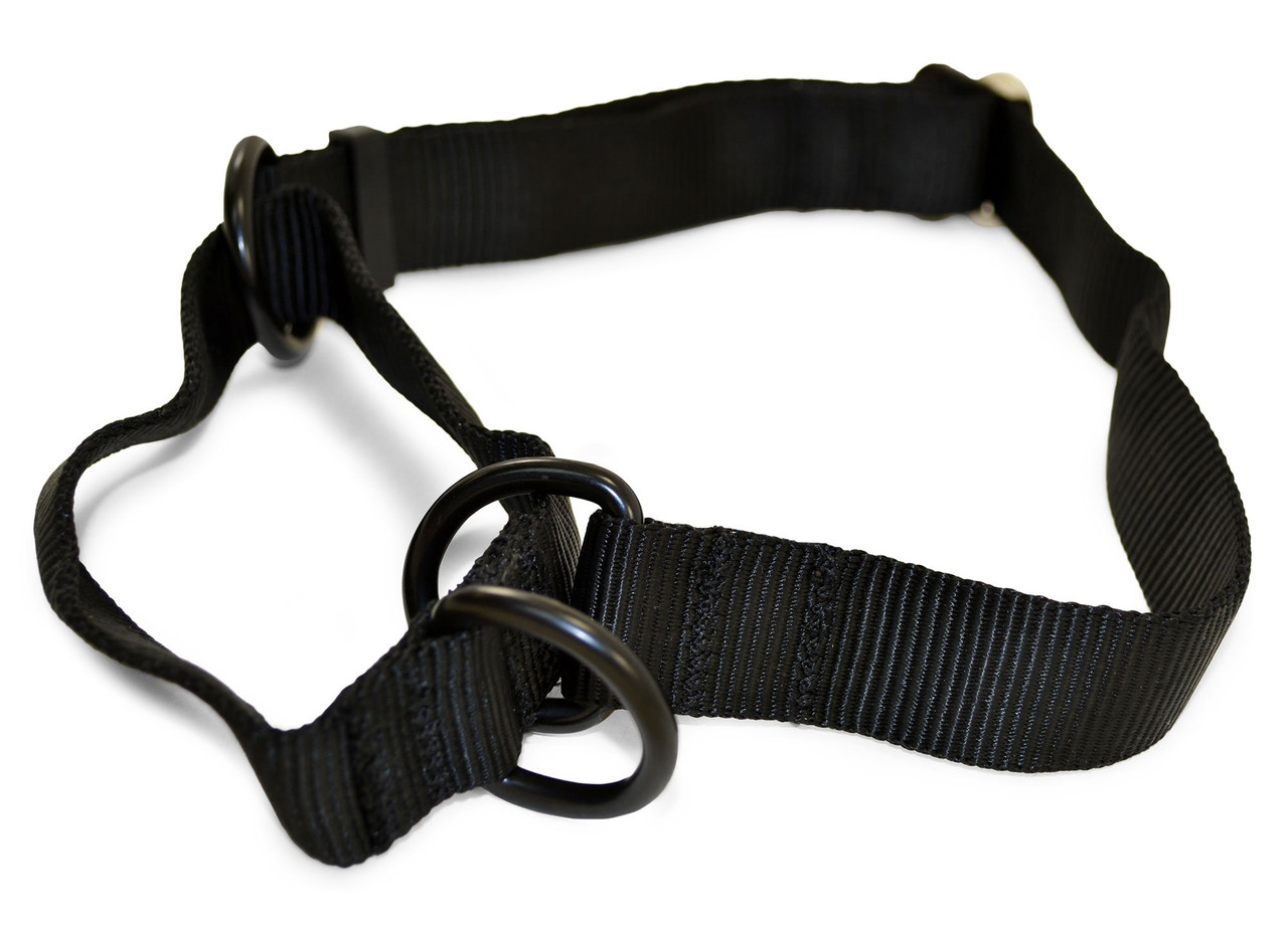 Large Dog Collar Hardware -- BLACK
