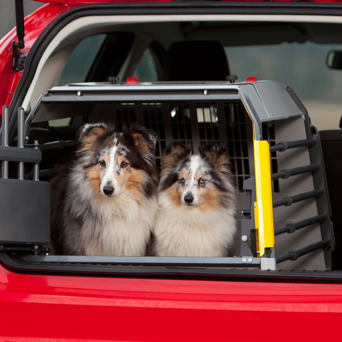 MIM Safe Variocage Compact| Travel Kennel J&J Dog Supplies