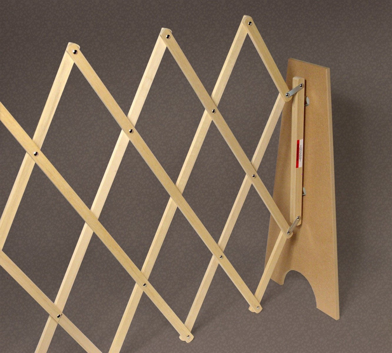 blue cadoodle for sale