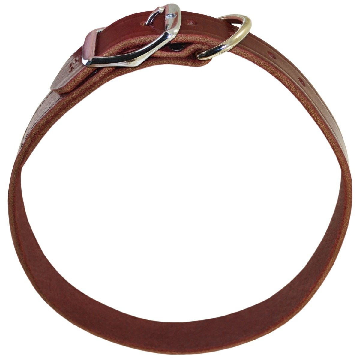 Burgundy Latigo Leather Dog Collar | Buckled Collar | Classic Style