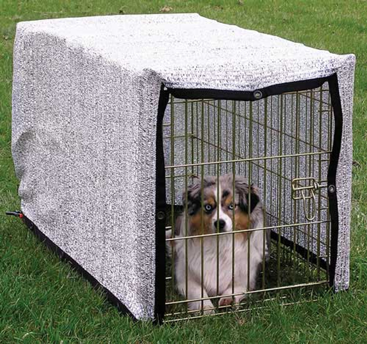 silver dog crate