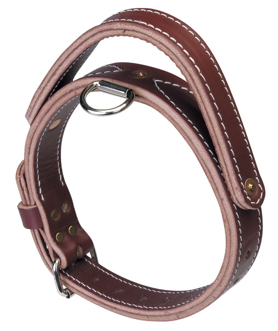 Latigo Leather Heavy-Duty Collars | Dog Collar - J&J Dog Supplies
