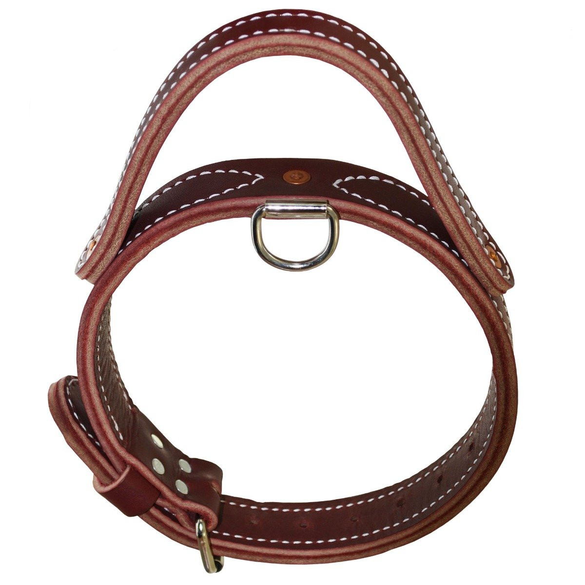 Latigo Leather Heavy-Duty Collars | Dog Collar - J&J Dog Supplies