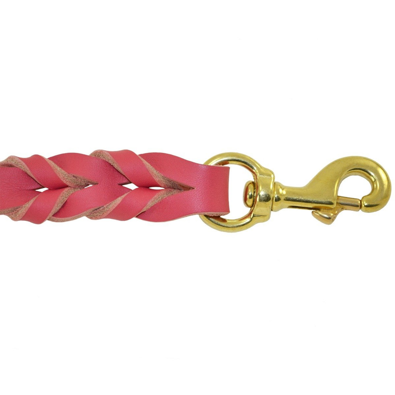 braided dog leash