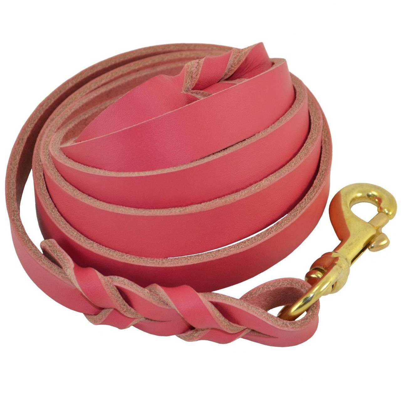 braided leather dog lead