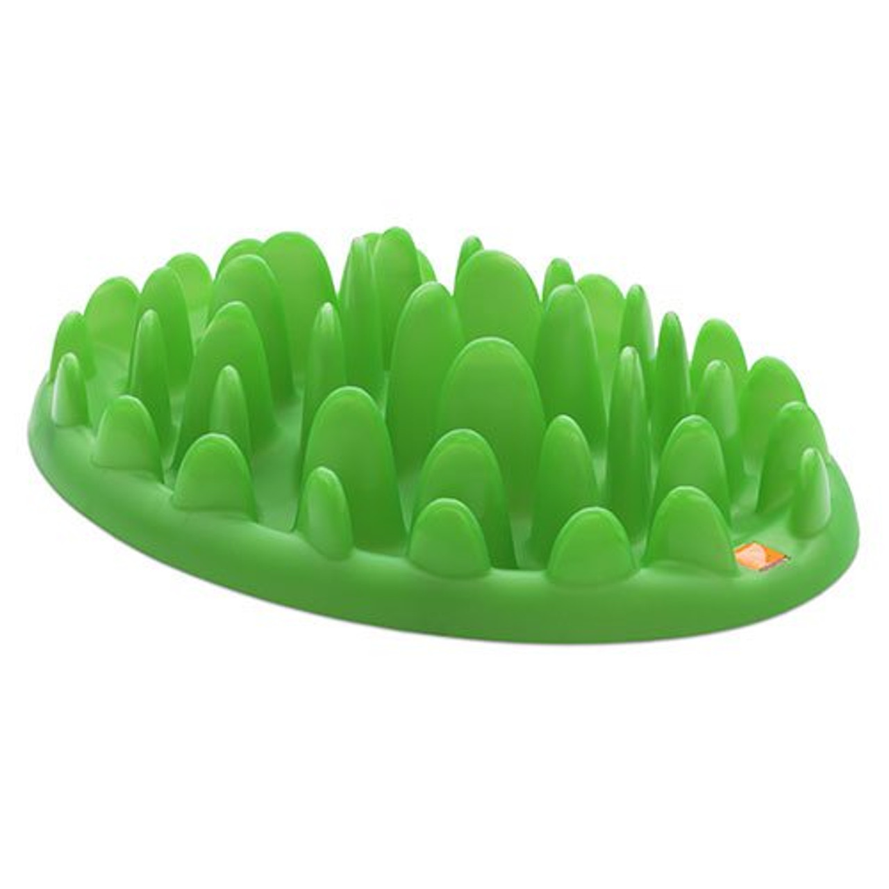 green feeder for dogs