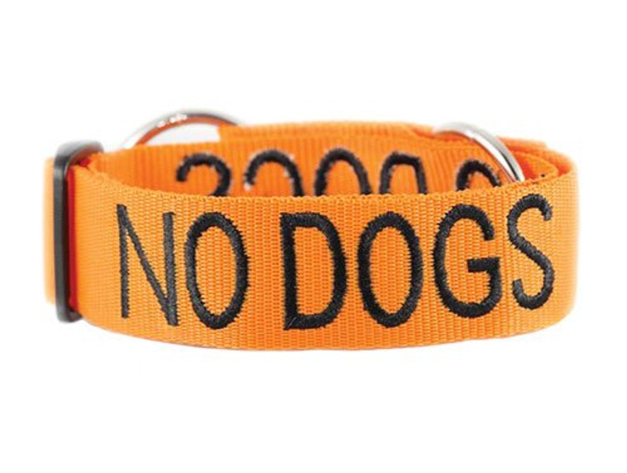 dexil dog collar