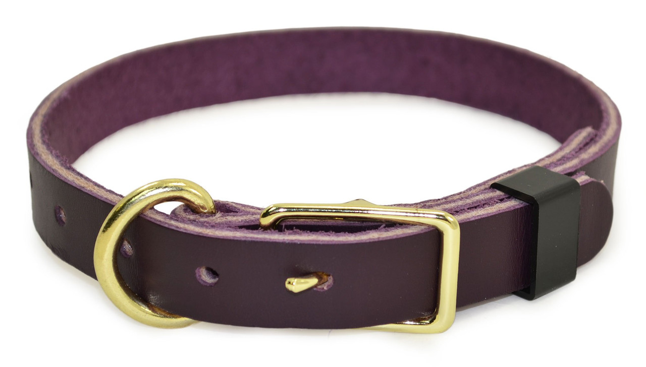 Lavender leather clearance dog collar