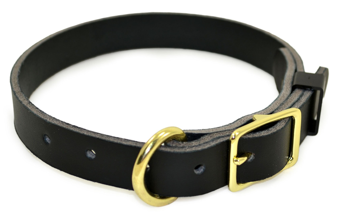 flat dog collar