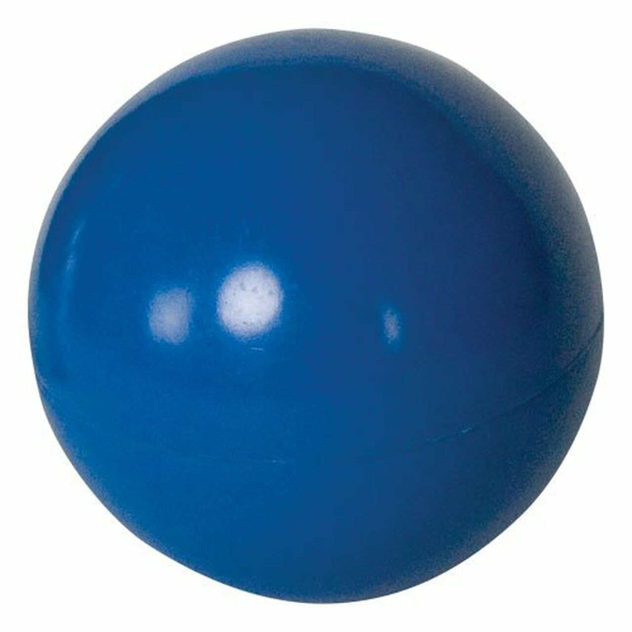 blue dog ball