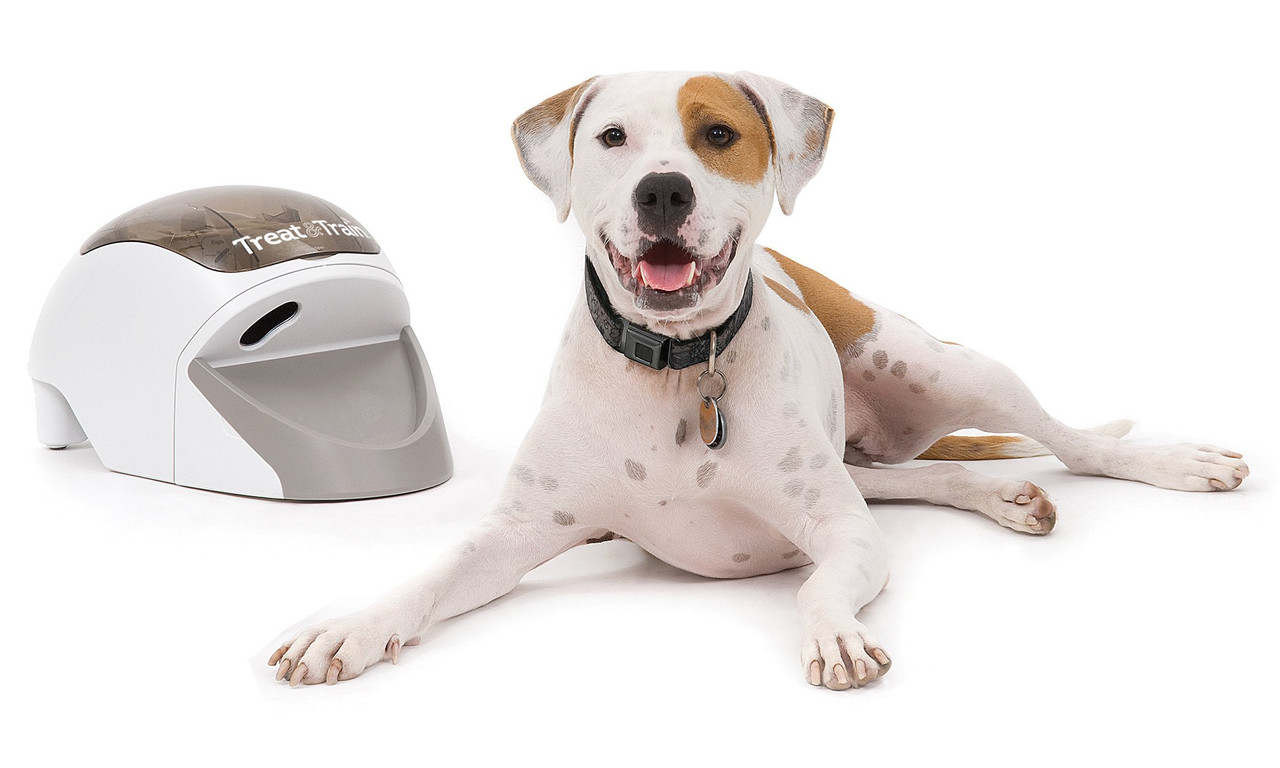 PetSafe Treat & Train™ Remote Reward Dog Trainer