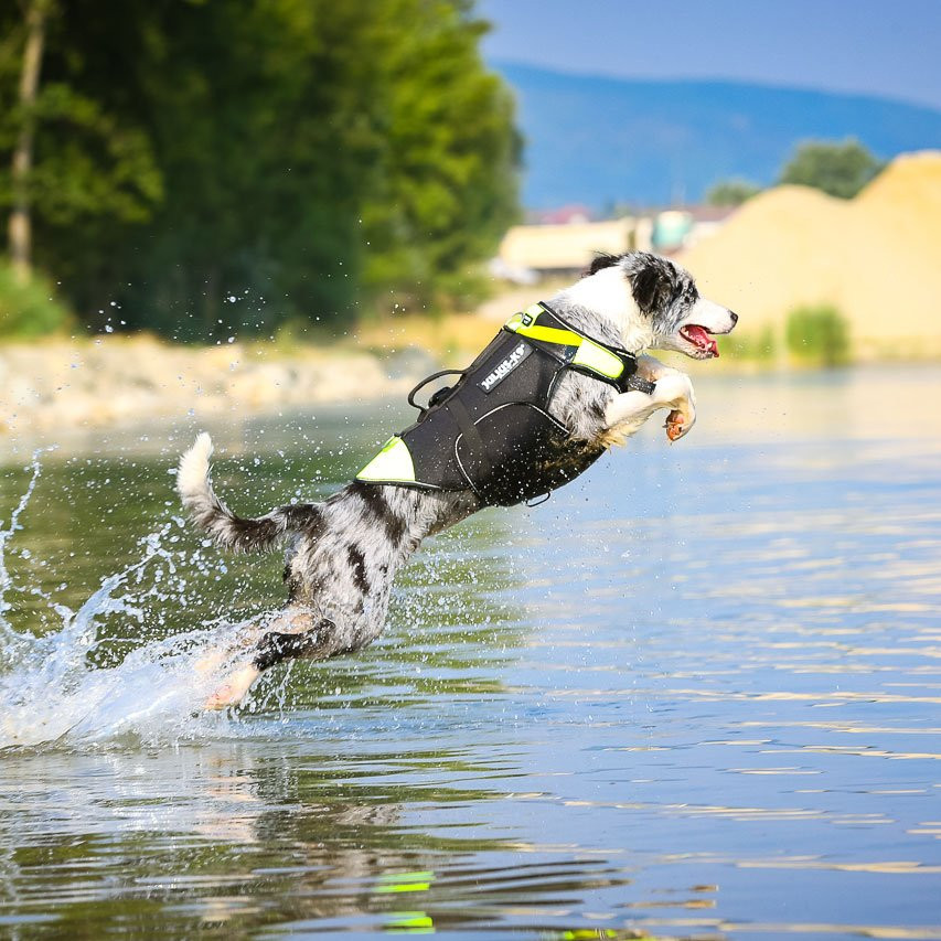 julius k9 multifunctional vest