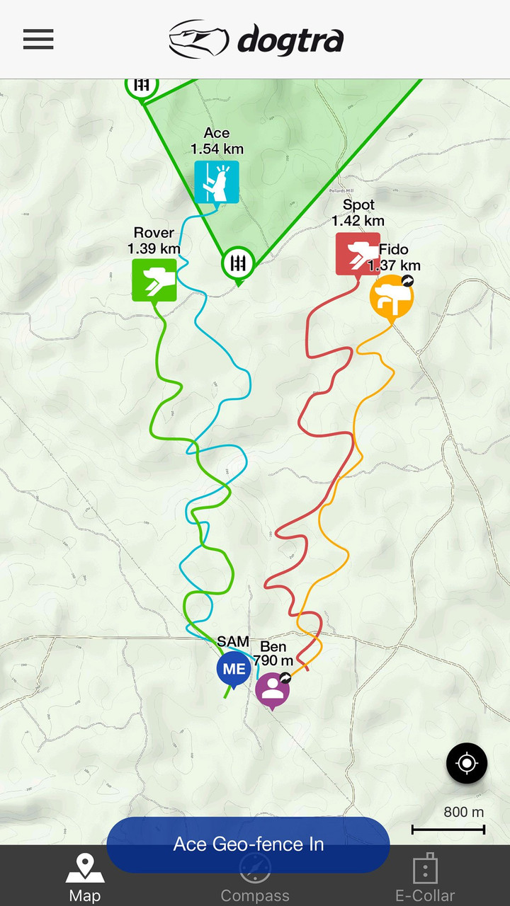 dogtra pathfinder trx