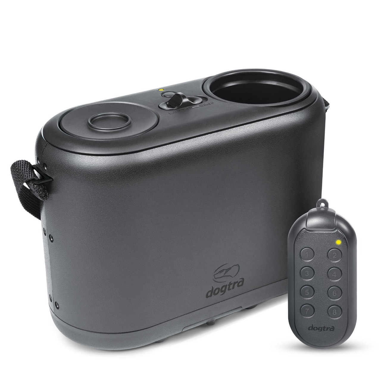 remote reward dog trainer