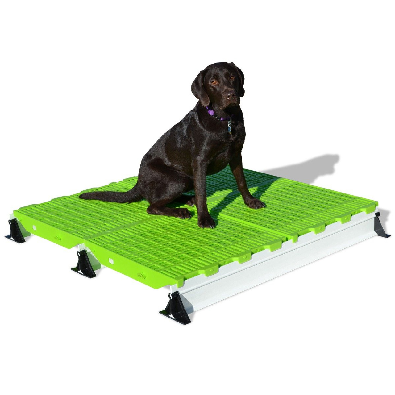 Dog kennel clearance floor mats