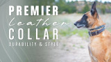 Premier Leather Collar: The Perfect Blend of Durability and Style
