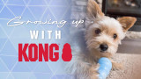 Growing Up With KONG™: Choosing for Your Dog's Age and Chewing Style