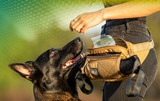 Designed for Dog Training: The Dog Trainer Fanny Pack