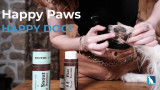 Protecting Your Dog’s Paws and Nose Year-Round with Natural Dog Company