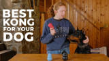 Growing Up With KONG™: Choosing for Your Dog's Age and Chewing Style
