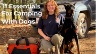 What to Pack for a Camping Trip with Your Dog
