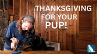 Easy Thanksgiving Pumpkin Pie Treat for Dogs