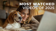 Most Popular Videos of 2025