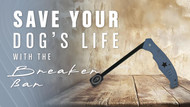 Protect Your Dog With The Breaker Bar