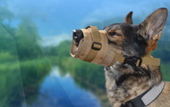 The Importance of Having a Dog Muzzle Handy