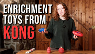 Enrichment Toys for Keeping Your Dog Engaged