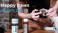 Protecting Your Dog’s Paws and Nose Year-Round with Natural Dog Company