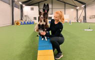 Utilizing Dog Training Education Materials