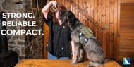 The Compact, Secure Leash Built for Active Dogs and Their People