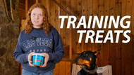 Stewart Beef Liver Treats: The Secret to Successful Training Sessions