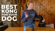 Growing Up With KONG™: Choosing for Your Dog's Age and Chewing Style
