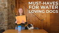 Wet Dogs, Clean Car: Two Must-Have Tools for Outdoor Canine Adventures