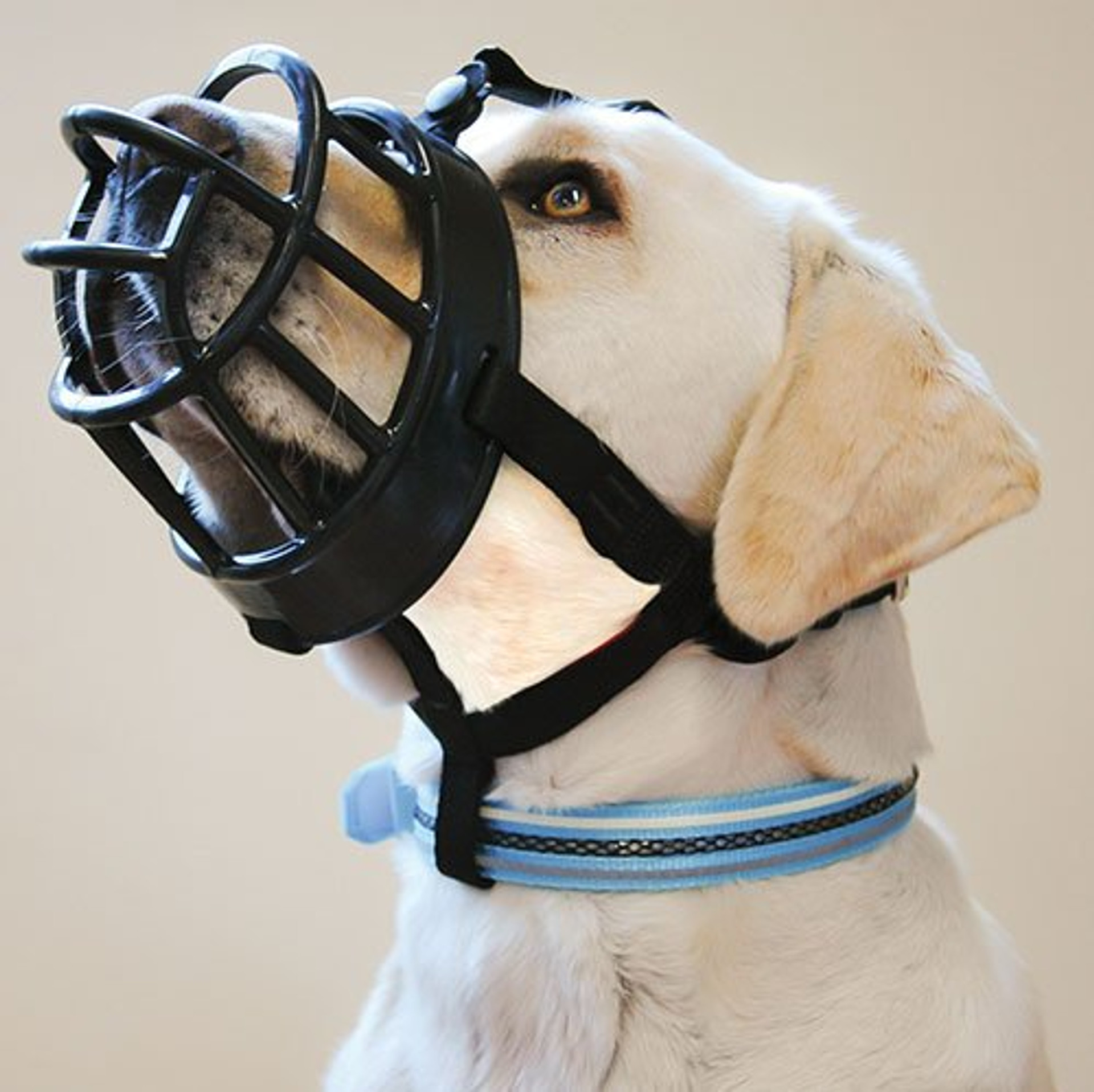Baskerville Ultra Muzzle For Aggressive Dogs J&J Dog Supplies