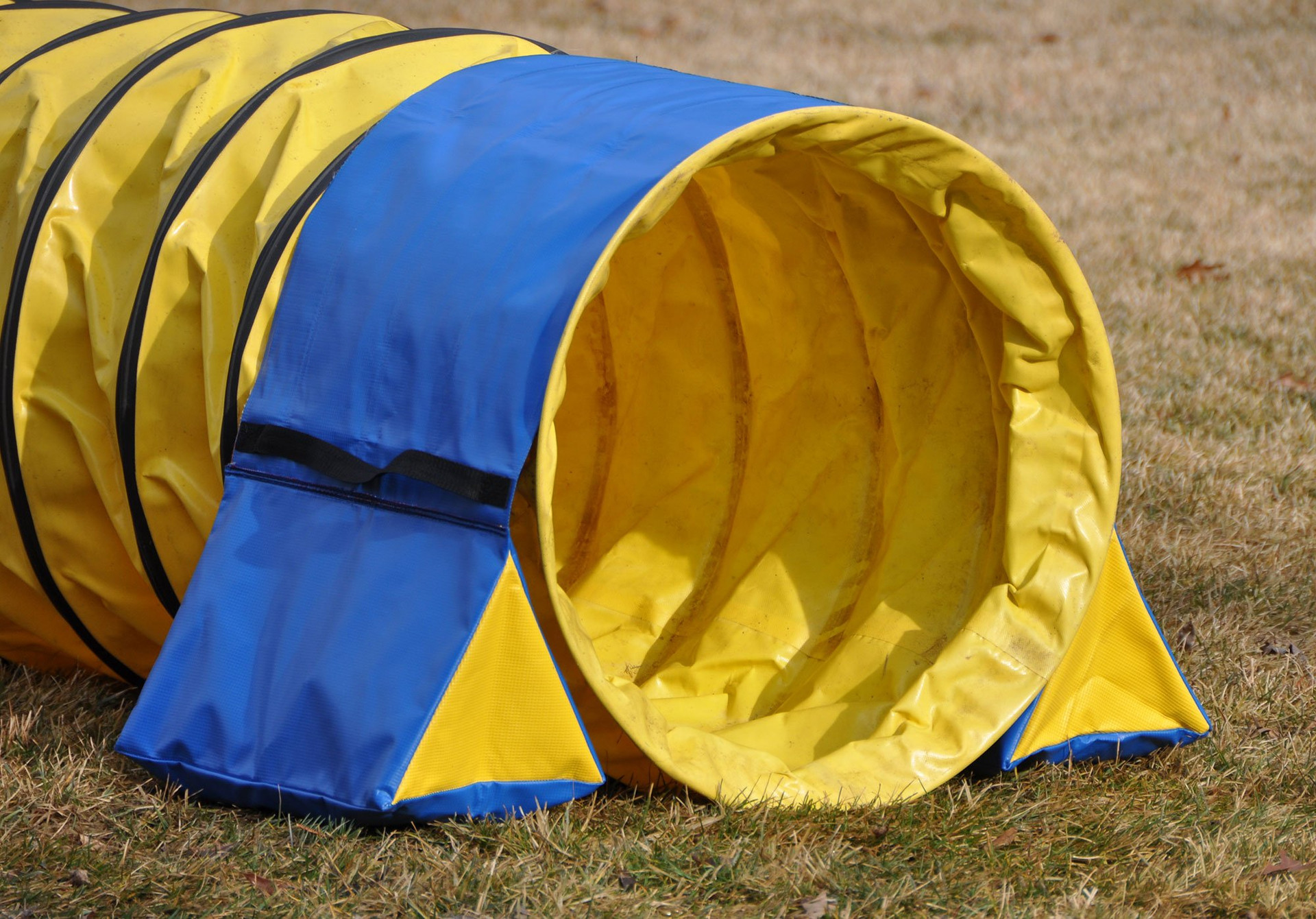 Open Agility Training Tunnels Dog Training J&J Dog Supplies