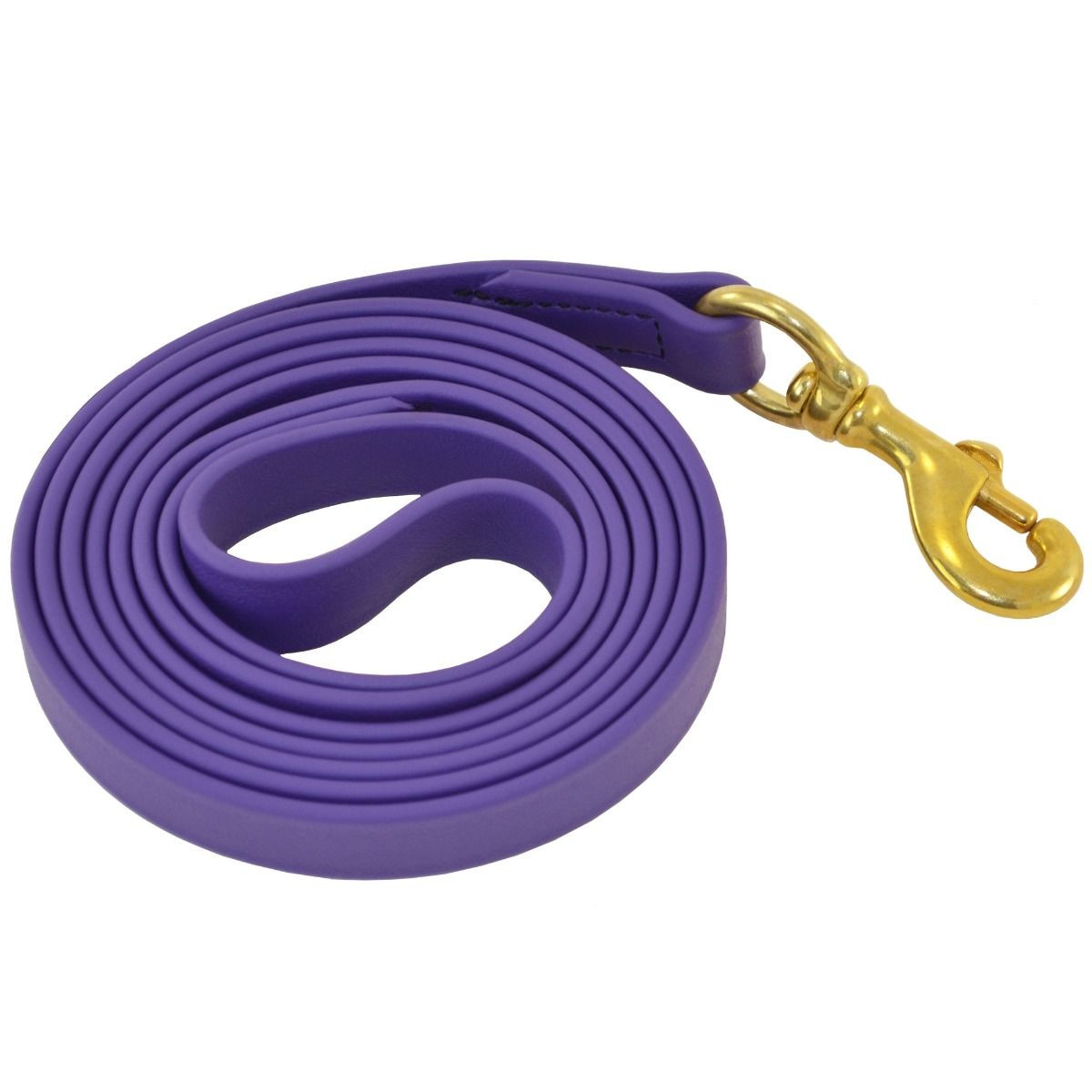 Biothane Lead All Weather Dog Leash Durable Leather Alternative