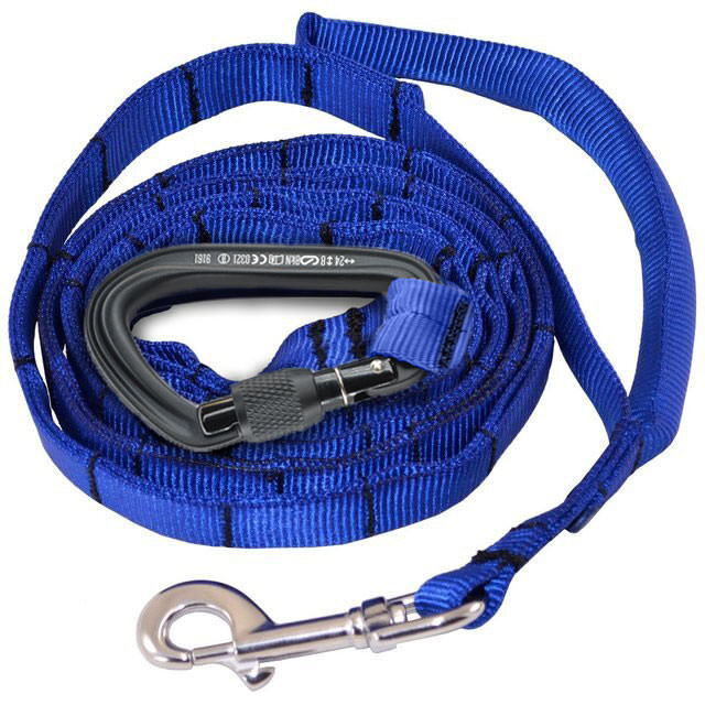 Convertible Service Dog Leash HandsFree J&J Dog Supplies