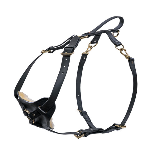 Quick Release Leather Harness