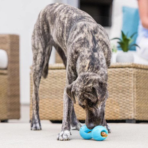 Quizl Puzzle Toy