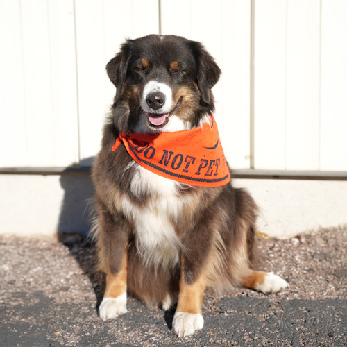 Boundary Bandana lifestyle PEAK-RED