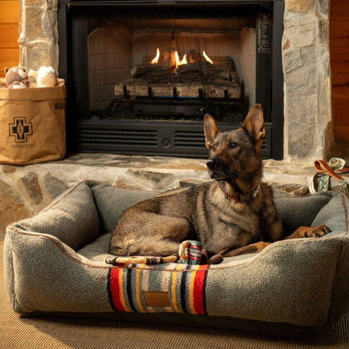 Pendleton Vintage Camp Pet Kuddler
