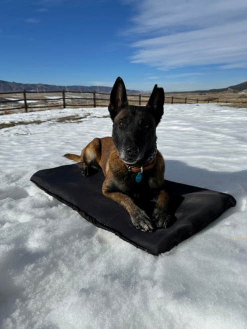 SplashShield Bed Protector