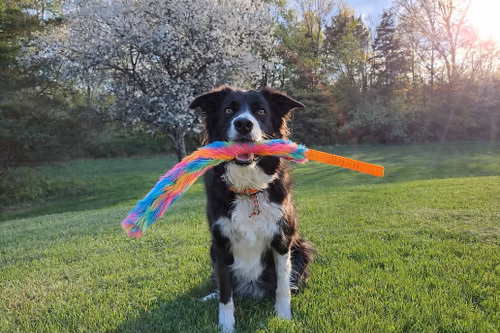 Fur Crinkle Bungee Tug