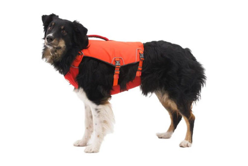 Confluence Dog Life Jacket lifestyle RU-4525-802S2; RU-4525-802S1; RU-4525-802S; RU-4525-802M; RU-4525-802L; RU-4525-802L1