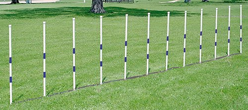 Spiked Weave Pole Set | Dog Training - J&J Dog Supplies
