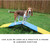 Better Sporting Dogs Mini Practice Teeter detail BSD-MINITEETER