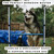Better Sporting Dogs Displaceable Bar Jump detail BSD-4DISPBAR